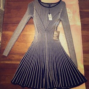 Express Sweater Dress